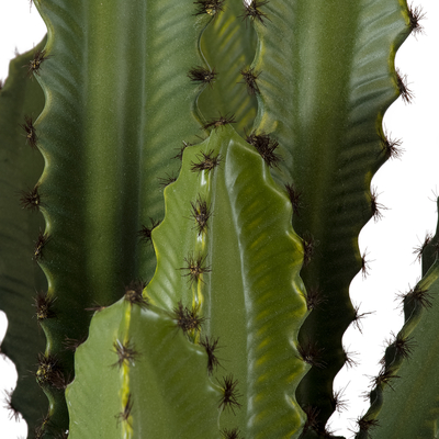 GloboStar® Artificial Garden CEREUS JAMACARU CACTUS 20099 Τεχνητό Διακοσμητικό Φυτό Κάκτος Κηρίος Υ66cm