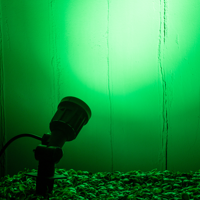 GLOBOSTAR® GARDENINI 61544 Φωτιστικό Σποτ για Φυτά - Δέντρα με Βάση Κήπου / Καρφωτό LED 5W 550lm 38° DC 24V Αδιάβροχο IP68 Πράσινο Dimmable - Lumileds SMD Chip - Μαύρο - Μ5.5 x Π5.5 x Υ13.5cm - 3 Χρόνια Εγγύηση