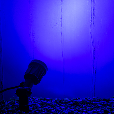 GLOBOSTAR® GARDENINI 61545 Φωτιστικό Σποτ για Φυτά - Δέντρα με Βάση Κήπου / Καρφωτό LED 5W 550lm 38° DC 24V Αδιάβροχο IP68 Μπλε Dimmable - Lumileds SMD Chip - Μαύρο - Μ5.5 x Π5.5 x Υ13.5cm - 3 Χρόνια Εγγύηση