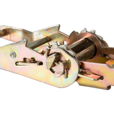 GLOBOSTAR® TREEBASE 90479 Ιμάντας με Καστάνια για Τοποθέτηση Φωτιστικών Σποτ σε κορμό Φυτών & Δέντρων - Μαύρο & Χρυσό - Μ150 x Π7.5 x Υ5cm