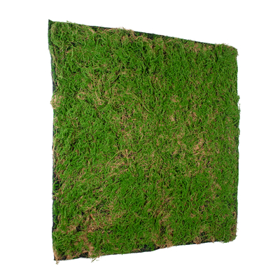 GloboStar® Artificial Garden BRYOPHYTA 20144 Τεχνητό Διακοσμητικό Πάνελ Φυλλωσιάς - Κάθετος Κήπος Βρύα Μ100 x Π100 x Υ3cm