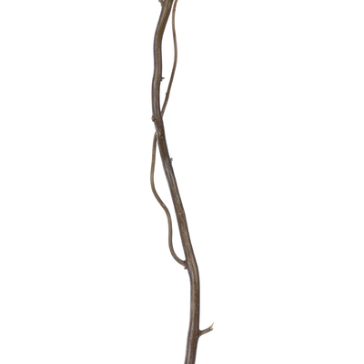 GloboStar® Artificial Garden REAL DRIED WITHERED VINE STEM 21220 Τεχνητό Διακοσμητικό Κλαδί Αμπελιού Y120cm