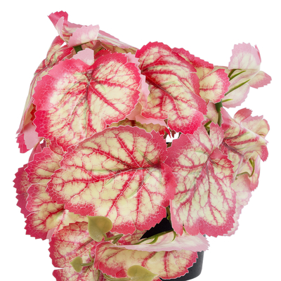 GloboStar® Artificial Garden RED BEGONIA PLANT 20948 Διακοσμητικό Φυτό Κόκκινη Βιγόνια Φ23 x Υ16cm