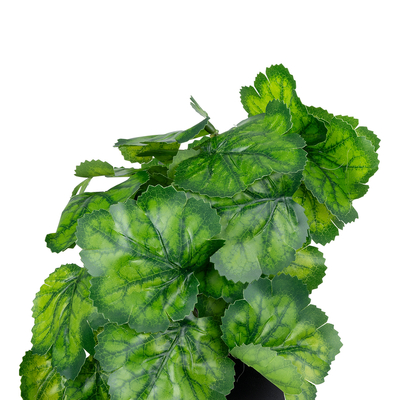 GloboStar® Artificial Garden GREEN BEGONIA PLANT 20949 Διακοσμητικό Φυτό Πράσινη Βιγόνια Φ23 x Υ16cm