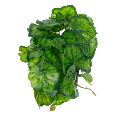 GloboStar® Artificial Garden GREEN BEGONIA PLANT 20949 Διακοσμητικό Φυτό Πράσινη Βιγόνια Φ23 x Υ16cm