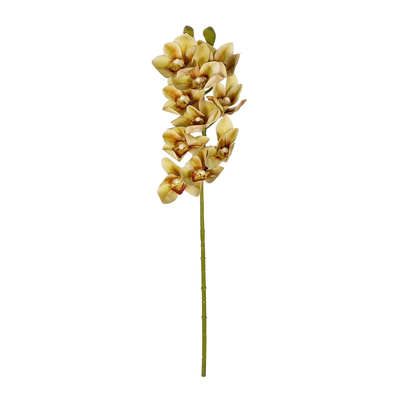 GloboStar® Artificial Garden CHAMPAGNE CYMBIDIUM BRANCH 21408 Τεχνητό Διακοσμητικό Κλαδί Σαμπανί Κυμβίδιο  Y75cm