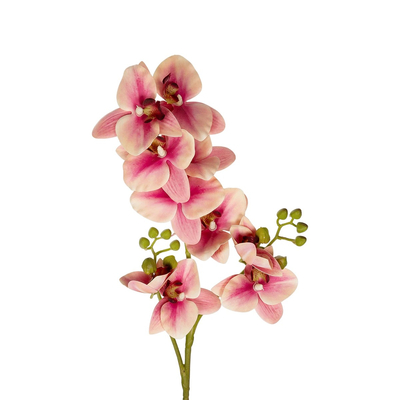 GloboStar® Artificial Garden CHAMPAGNE PINK ORCHID  BRANCH 21411 Τεχνητό Διακοσμητικό Κλαδί Σαμπανί Ορχιδέα Y70cm