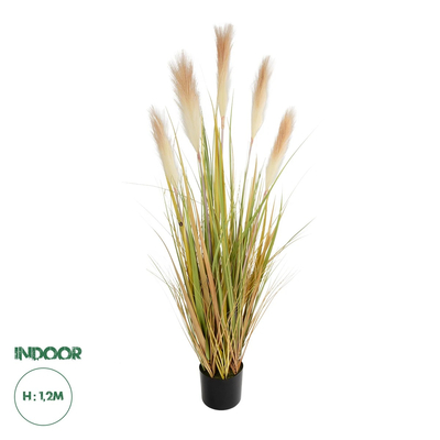 GloboStar® Artificial Garden PAMPAS GRASS 21477 Τεχνητό Διακοσμητικό Φυτό Παμπας Υ120cm