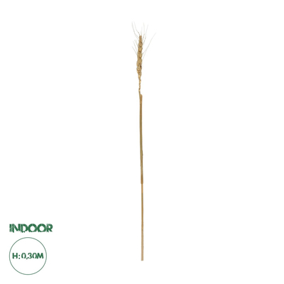 GloboStar® Artificial Garden REAL DRIED WHEAT GRASS 21488 Τεχνητό Διακοσμητικό Κλαδί Σιταριού Y30cm