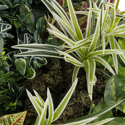 GloboStar® Artificial Garden VARIOUS PLANTS ROUND WALL DISC 20691 Τεχνητό Διακοσμητικό Στρογγυλό Πάνελ Φυλλωσιάς - Κάθετος Κήπος Μιξ Μ60 x Π60 x Υ20cm