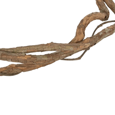 GloboStar® Artificial Garden DRY VINE 21067 Τεχνητό Διακοσμητικό Κλαδί Ξηρό Αμπέλι Μ8 x Π8 x Υ180cm - Σετ 10 τμχ