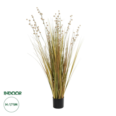 GloboStar® Artificial Garden CRASPEDIA GRASS 21480 Τεχνητό Διακοσμητικό Φυτό Μπεζ & Πράσινο Κρασπέδια Μ90 x Π60 x Υ175cm