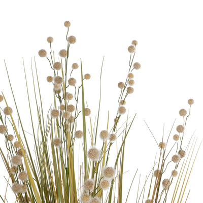 GloboStar® Artificial Garden CRASPEDIA GRASS 21480 Τεχνητό Διακοσμητικό Φυτό Μπεζ & Πράσινο Κρασπέδια Μ90 x Π60 x Υ175cm