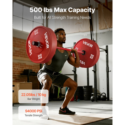 Μπάρα VEVOR 120cm, Κατάλληλη για πλάκες βάρους 2 ιντσών, Μπάρα με ραβδωτή λαβή για προπόνηση δύναμης, άρση βαρών, καθίσματα, άρση θανάτου, πιέσεις πάγκου, κάμψεις, πιέσεις εναέριας κυκλοφορίας, χωρητικότητα 550lbs/226kg