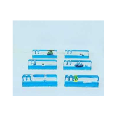 Διακοσμητικό Souvenir μολυβοθήκη με νερό - SY62 - 507152