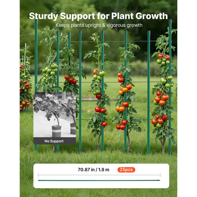 Πασσάλους κήπου VEVOR, Συσκευασία των 25, 1800 mm, Μεταλλικοί πασσάλοι ντομάτας με πλαστική επίστρωση, Ραβδιά κήπου για στήριξη φυτών, με μυτερό άκρο και αντιολισθητικά εξογκώματα για καλλιέργεια αναρριχώμενων φυτών, Λαχανικά εξωτερικού χώρου