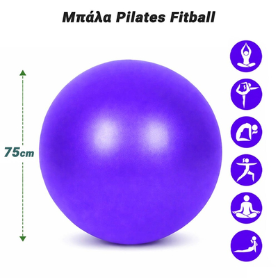 Μπάλα Pilates Fitball 75cm Purple