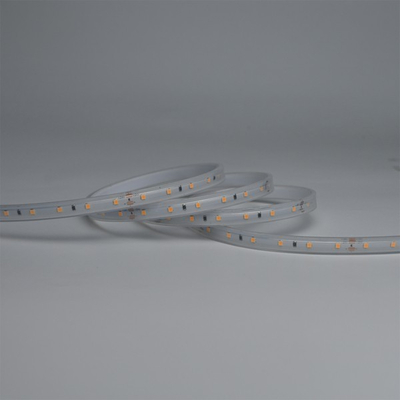 ΤΑΙΝΙΑ LED 5M 10W 12V 6500K 60LED/M IP65 PRO