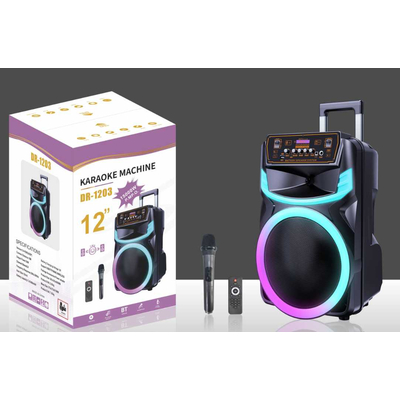 Φορητό ηχείο subwoofer με μικρόφωνο Karaoke - DR1203 - 160064