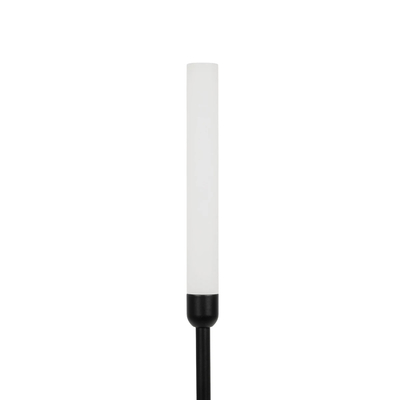 GLOBOSTAR® REED GLB-103-0007 Φωτιστικό Κολωνάκι Κήπου με Καρφωτή Βάση LED 2W 180lm 360° DC 24V Αδιάβροχο IP65 Θερμό Λευκό 2700K - Sanan SMD Chip - Μαύρο Ματ - Μ2 x Π2 x Υ80cm - 3 Χρόνια Εγγύηση