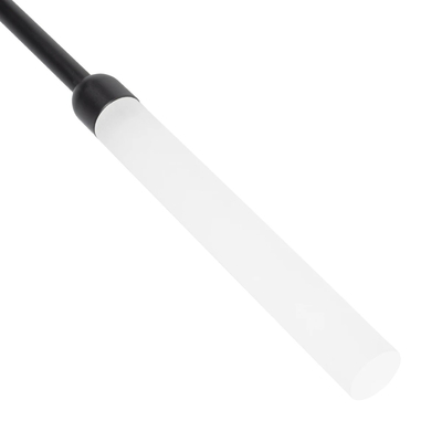 GLOBOSTAR® REED GLB-103-0007 Φωτιστικό Κολωνάκι Κήπου με Καρφωτή Βάση LED 2W 180lm 360° DC 24V Αδιάβροχο IP65 Θερμό Λευκό 2700K - Sanan SMD Chip - Μαύρο Ματ - Μ2 x Π2 x Υ80cm - 3 Χρόνια Εγγύηση