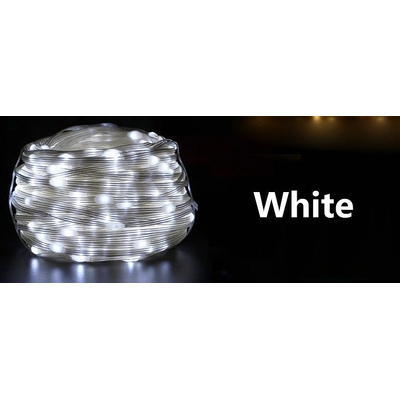 Χριστουγεννιάτικα φώτα LED με επένδυση - 10m/100LED - Cool White - 272342