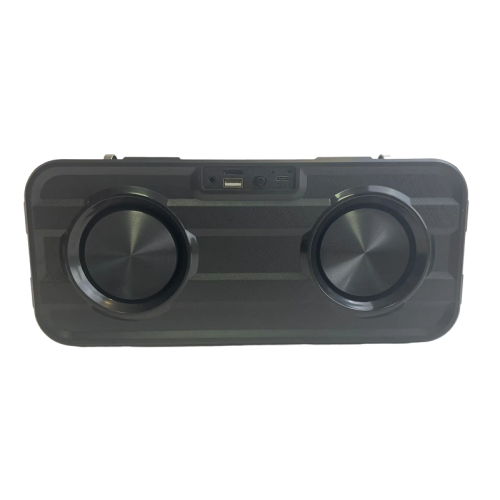Ασύρματο ηχείο Bluetooth με 2 μικρόφωνα Karaoke - WS950 - 810248 - Black