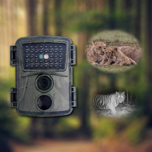 Ασύρματη κάμερα κυνηγιού με αισθητήρα κίνησης - P600 - 883020