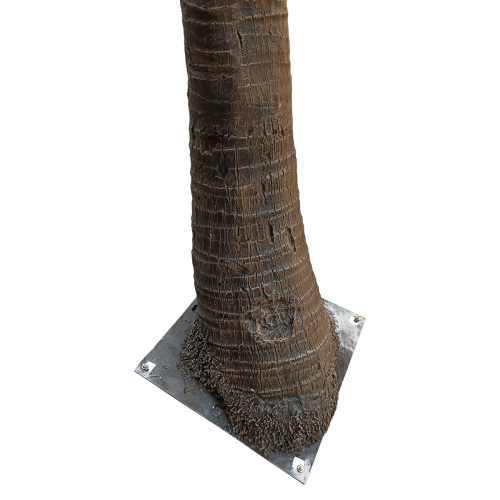 GloboStar® Artificial Garden COCONUT PALM TREE 20594 Τεχνητό Διακοσμητικό Φοινικόδεντρο Κοκοφοίνικας Υ500cm
