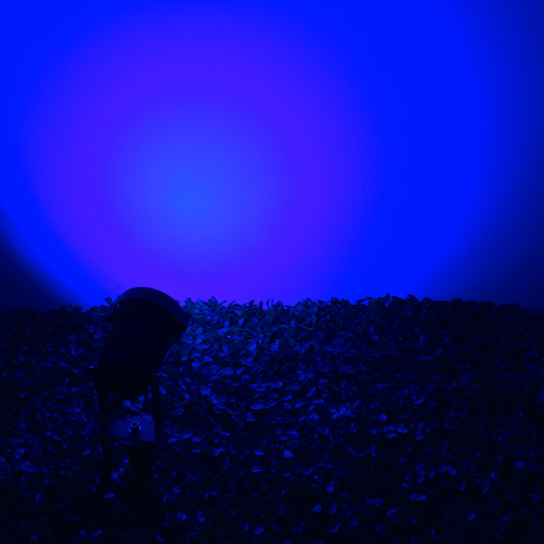 GloboStar® 75587 Προβολάκι Κήπου Καρφωτό - Δαπέδου Bridgelux COB LED 10W 1000lm 35° DC 24V Αδιάβροχο IP67 Ultra Μπλε Dimmable