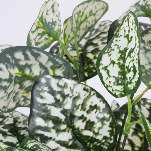 GloboStar® POLKA DOT PLANT 78259 Τεχνητό Φυτό Πόλκα - Μπουκέτο Διακοσμητικών Φυτών - Κλαδιών με Φύλλωμα Πράσινο - Λευκό Υ33cm