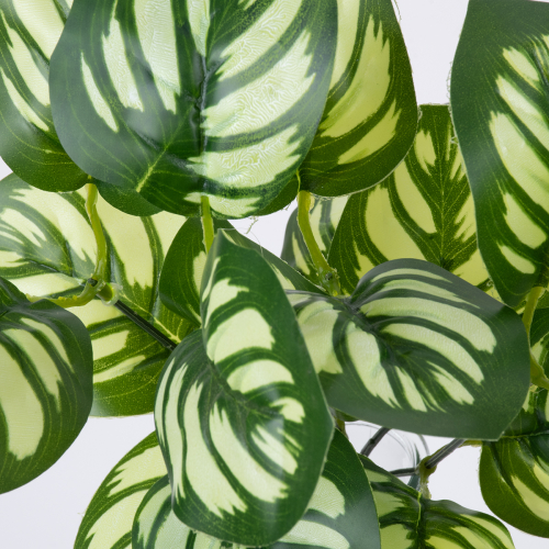 GloboStar® GREEN PEPEROMIA 78286 Τεχνητό Φυτό Πεπερόμια Πράσινη - Μπουκέτο Διακοσμητικών Φυτών - Κλαδιών με Φύλλωμα Πράσινο - Λευκό Υ33cm