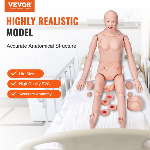 Ανδρικό ανδρείκελο VEVOR Nursing Training, Ανδρικό/Γυναικείο ανδρικό ανδρείκελο επίδειξης μεγέθους ζωής για εκπαίδευση νοσηλευτικής, Μοντέλο διδασκαλίας πολλαπλών λειτουργιών εκπαίδευσης, μοντέλο προσομοιωτή περιποίησης σώματος ανατομικής μανεκέν PVC