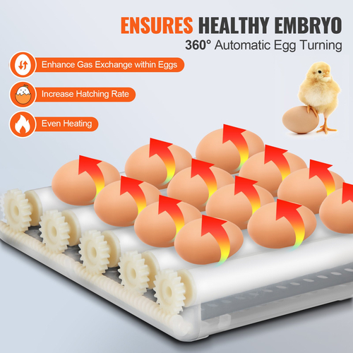 Εκκολαπτήρια αυγών VEVOR για επώαση αυγών Auto Egg Turning 12 Eggs