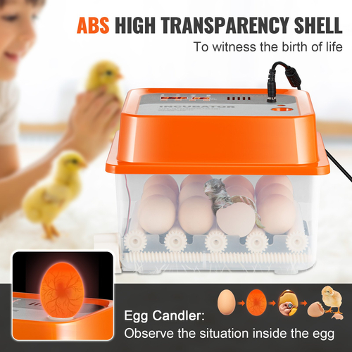 Εκκολαπτήρια αυγών VEVOR για επώαση αυγών Auto Egg Turning 12 Eggs