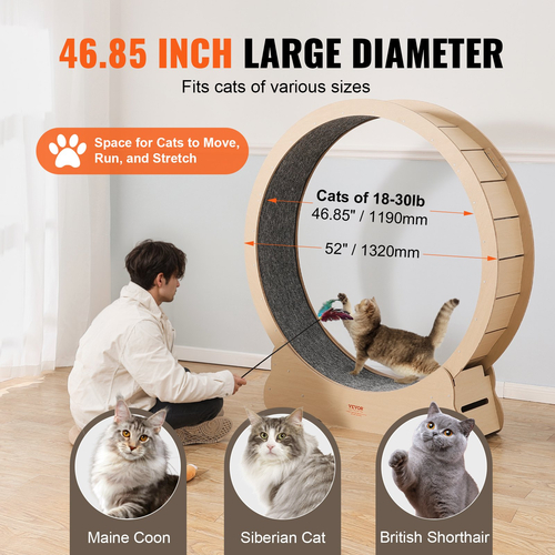 VEVOR Wooden Cat Exercise Wheel 52&quot; Μεγάλος τροχός διάδρομου για γάτες για γάτες εσωτερικού χώρου