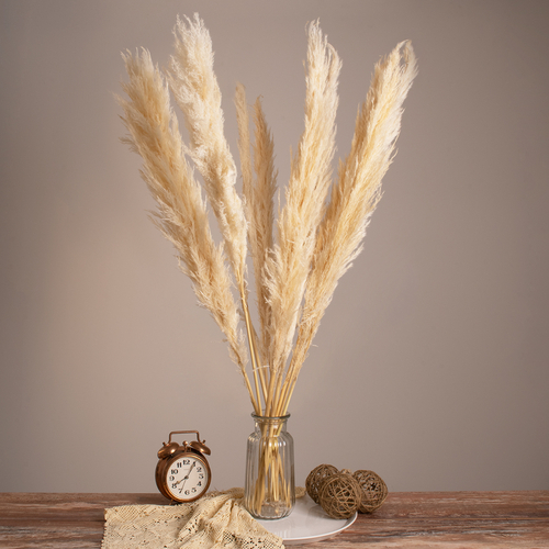 GloboStar® PAMPASGRASS 36508 Αποξηραμένο Φυτό Γρασίδι της Πάμπας - Μπουκέτο Διακοσμητικών Κλαδιών Μπεζ - Εκρού Υ100cm