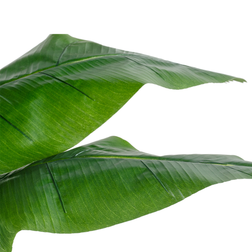 GloboStar® Artificial Garden BANANA STRELITZIA REGINAE 20381 - Τεχνητό Διακοσμητικό Φυτό  Μπανανιά - Στρελίτσια - Πουλί του Παραδείσου Υ230cm