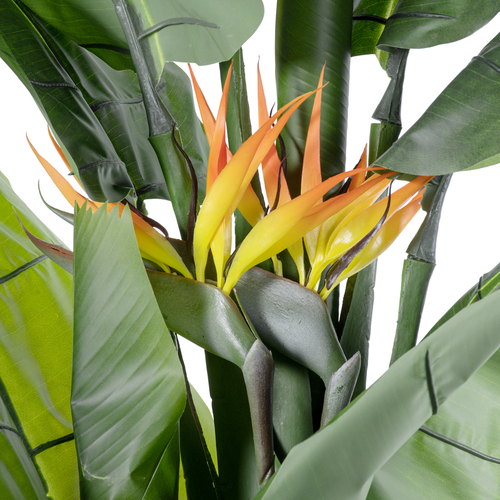 GloboStar® Artificial Garden BANANA STRELITZIA REGINAE 20381 - Τεχνητό Διακοσμητικό Φυτό  Μπανανιά - Στρελίτσια - Πουλί του Παραδείσου Υ230cm