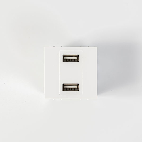 ΠΡΙΖΑ 2 Χ USB MODULES ΛΕΥΚΗ