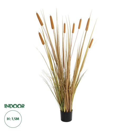 GloboStar® Artificial Garden TYPHA GRASS 21483 Τεχνητό Διακοσμητικό Φυτό Γρασίδι της Τύφας Μ70 x Π40 x Υ150cm