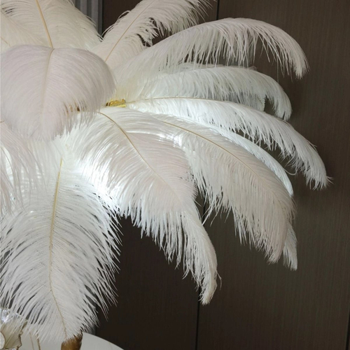 Ostrich Feather Επιτραπέζιο Φωτιστικό με πούπουλο D60