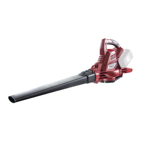 RAIDER R20 Solo Φυσητήρας μπαταρίας 40V RDP-SEBV20 077403