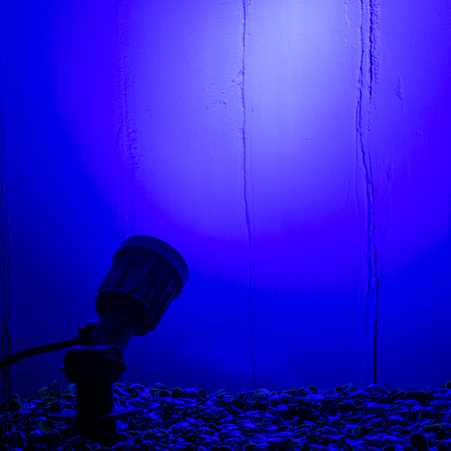 GLOBOSTAR® GARDENINI 61545 Φωτιστικό Σποτ για Φυτά - Δέντρα με Βάση Κήπου / Καρφωτό LED 5W 550lm 38° DC 24V Αδιάβροχο IP68 Μπλε Dimmable - Lumileds SMD Chip - Μαύρο - Μ5.5 x Π5.5 x Υ13.5cm - 3 Χρόνια Εγγύηση