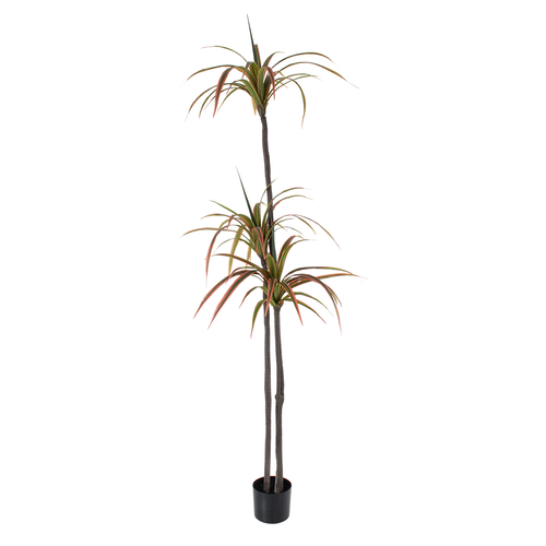 GloboStar® Artificial Garden DRAGON BLOOD TREE 20371 - Τεχνητό Διακοσμητικό Φυτό Δράκαινα Υ220cm