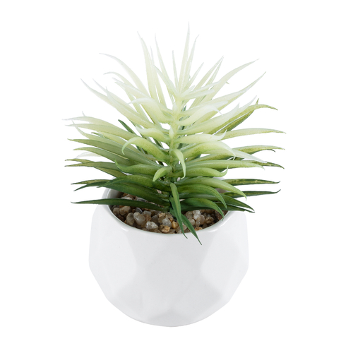 GloboStar® Artificial Garden SUCCULENT SENECIO 20997 Διακοσμητικό Φυτό Παχύφυτο Σενέκιο Υ12cm