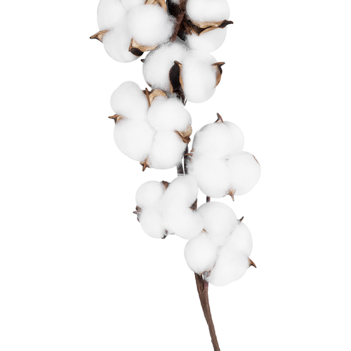 GloboStar® Artificial Garden COTTON BRANCH 20559 Τεχνητό Διακοσμητικό Κλαδί βαμβάκι Y55cm