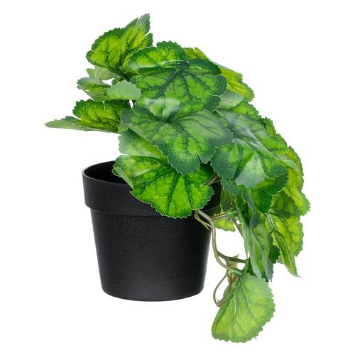 GloboStar® Artificial Garden GREEN BEGONIA PLANT 20949 Διακοσμητικό Φυτό Πράσινη Βιγόνια Φ23 x Υ16cm