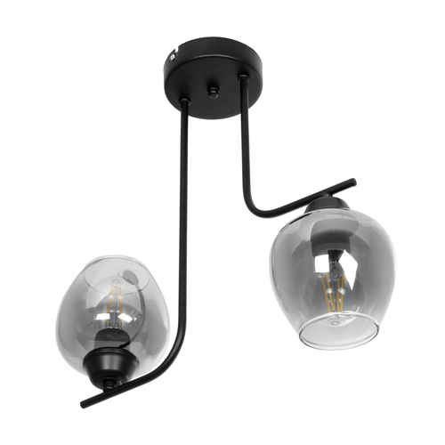 GLOBOSTAR® GLOSSA 201-0091 Vintage Φωτιστικό Οροφής με Ντουί 2 x E27 AC 220-240V IP20 - Μαύρο & Μαύρο Φιμέ - Μ40 x Π15 x Υ17cm
