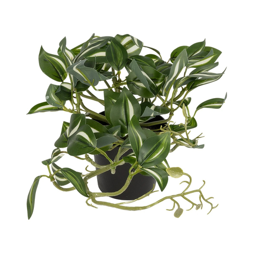 GloboStar® Artificial Garden ZEBRINA PLANT 20960 Διακοσμητικό Φυτό Ζεμπρίνα Φ45 x Υ22cm